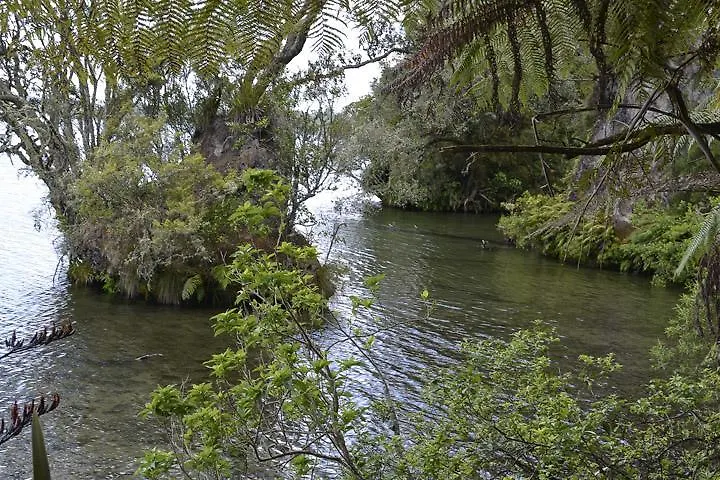 Lakefront Holiday Home Rotorua New Zealand