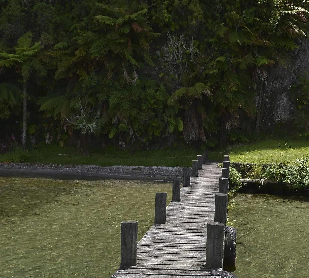 Lakefront Holiday Home Rotorua