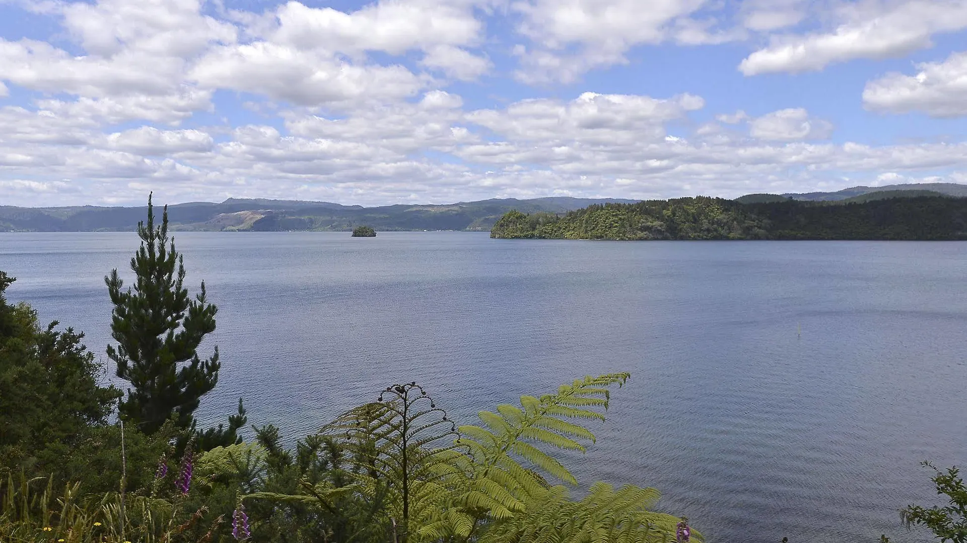 Lakefront Holiday Home Rotorua New Zealand