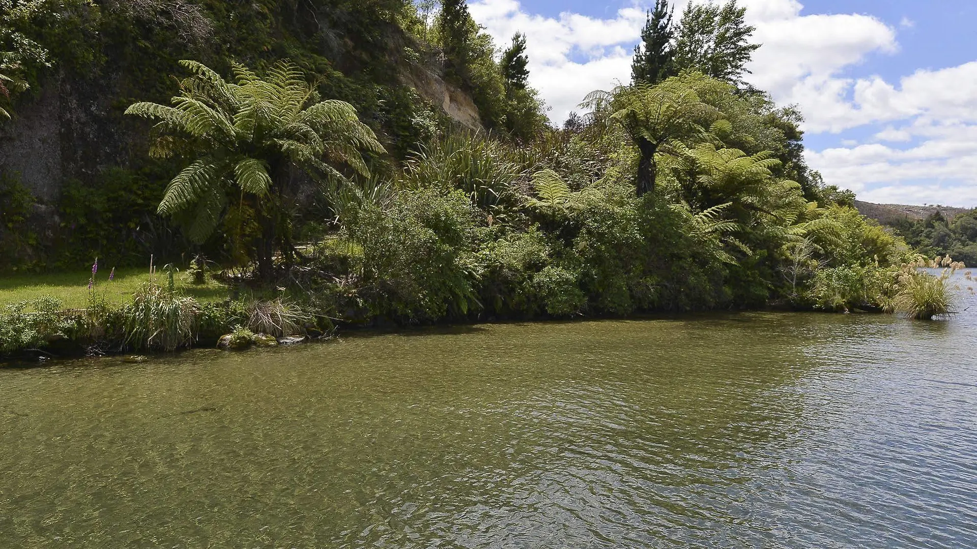 Lakefront Holiday Home Rotorua 0*,  New Zealand